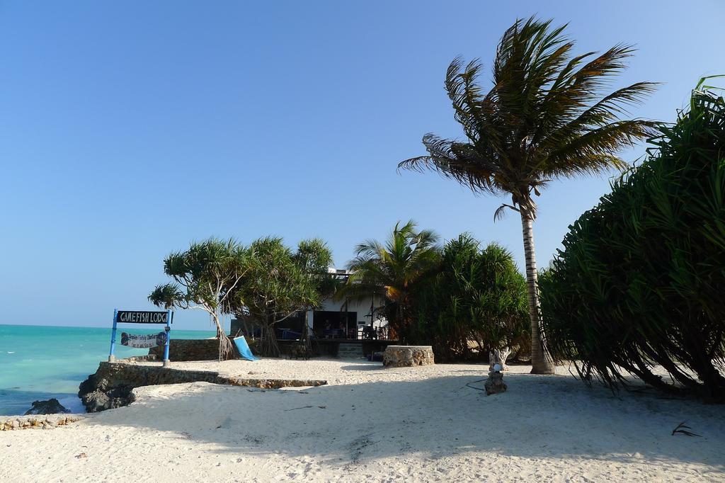 Game Fish Lodge Nungwi Kültér fotó